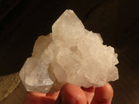 Natural White Spirit Cactus Quartz Clusters  x 4 From Boekenhouthoek, South Africa - Toprock Gemstones and Minerals 