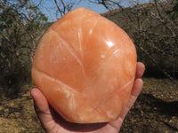 Polished Large Orange Twist Calcite Standing Leaf Sculpture  x 1 From Madagascar - TopRock