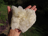 Natural Semi Optic Quartz Clusters With Large Crystals x 3 From Serenje, Zambia - TopRock