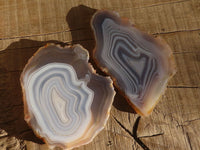 Polished Highly Selected Agate Slices With Stunning Patterns  x 6 From Madagascar