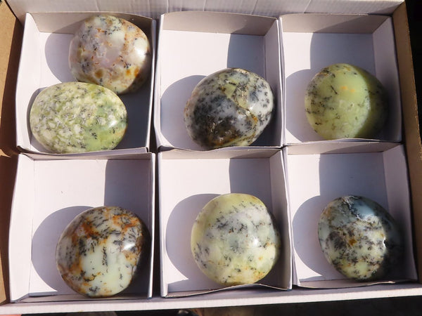 Polished  Dendritic Opal Galet / Palm Stone x 7 from Madagascar