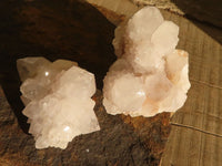 Natural White Spirit Cactus Quartz Clusters  x 4 From Boekenhouthoek, South Africa - Toprock Gemstones and Minerals 