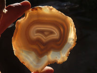 Polished Highly Selected Agate Slices With Stunning Patterns  x 6 From Madagascar