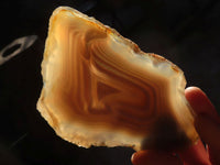 Polished Highly Selected Agate Slices With Stunning Patterns  x 6 From Madagascar