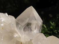 Natural Semi Optic Quartz Clusters With Large Crystals x 3 From Serenje, Zambia - TopRock