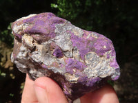 Natural Highly Selected Purpurite Cobbed Specimens  x 12 From Erongo, Namibia - TopRock