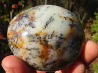 Polished  Dendritic Opal Galet / Palm Stone x 7 from Madagascar