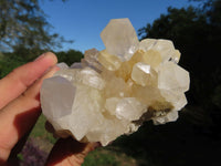 Natural Semi Optic Quartz Clusters With Large Crystals x 3 From Serenje, Zambia - TopRock