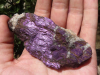 Natural Highly Selected Purpurite Cobbed Specimens  x 12 From Erongo, Namibia - TopRock