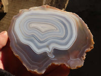 Polished Highly Selected Agate Slices With Stunning Patterns  x 6 From Madagascar