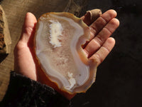 Polished Highly Selected Agate Slices With Stunning Patterns  x 6 From Madagascar