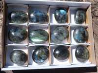 Polished Flashy Labradorite Palm Stones  x 12 From Tulear, Madagascar - Toprock Gemstones and Minerals 