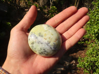 Polished  Dendritic Opal Galet / Palm Stone x 7 from Madagascar