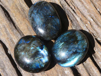 Polished Flashy Labradorite Palm Stones  x 12 From Tulear, Madagascar - Toprock Gemstones and Minerals 