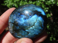 Polished Flashy Labradorite Palm Stones  x 12 From Tulear, Madagascar - Toprock Gemstones and Minerals 