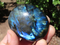 Polished Flashy Labradorite Palm Stones  x 12 From Tulear, Madagascar - Toprock Gemstones and Minerals 