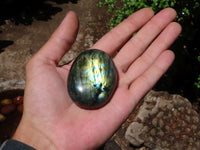 Polished Flashy Labradorite Palm Stones  x 12 From Tulear, Madagascar - Toprock Gemstones and Minerals 