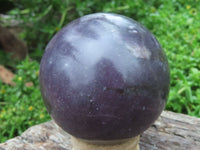 Polished Lepidolite Spheres With Lithium Mica x 3 From Zimbabwe - TopRock