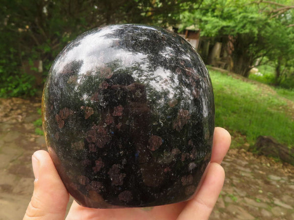 Polished Sparkling Blue Iolite / Water Sapphire Standing Free Form  x 1 From Madagascar - TopRock