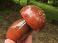 Polished Polychrome / Picasso Jasper Mushrooms  x 6 From Madagascar - TopRock