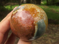 Polished Polychrome / Picasso Jasper Mushrooms  x 6 From Madagascar - TopRock