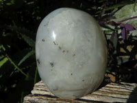 Polished Dendritic Agate Standing Free Forms x 2 From Madagascar - TopRock