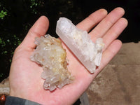 Natural Small Mixed Quartz Clusters  x 24 From Madagascar - Toprock Gemstones and Minerals 