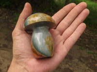 Polished Polychrome / Picasso Jasper Mushrooms  x 6 From Madagascar - TopRock