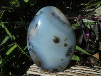 Polished Dendritic Agate Standing Free Forms x 2 From Madagascar - TopRock