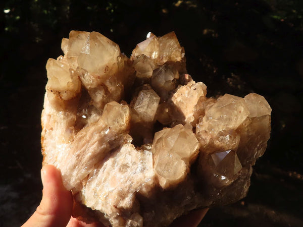 Natural Smokey Phantom Quartz Cluster  x 1 From Luena, Congo - Toprock Gemstones and Minerals 