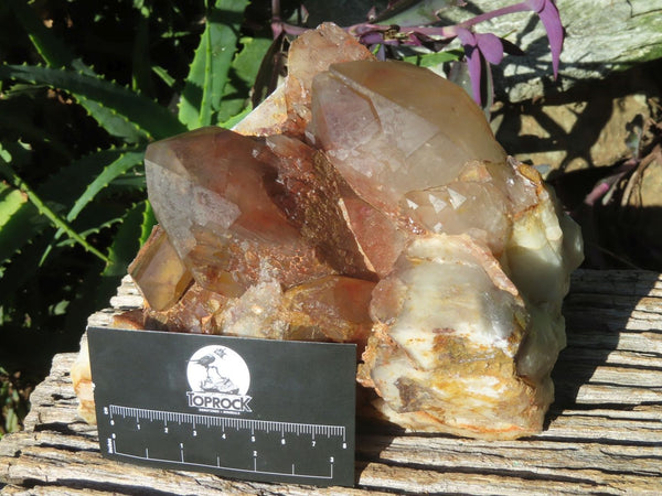 Natural Red Phantom Quartz Cluster x 1 From Karoi, Zimbabwe - TopRock