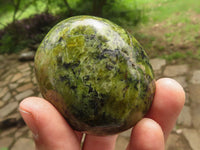 Polished Large Green Opal Palm Stones  x 12 From Madagascar - TopRock