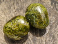 Polished Large Green Opal Palm Stones  x 12 From Madagascar - TopRock