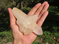 Natural Quartz Clusters With Nice Intact Crystals  x 6 From Madagascar - TopRock