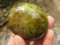 Polished Large Green Opal Palm Stones  x 12 From Madagascar - TopRock