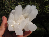 Natural Quartz Clusters With Nice Intact Crystals  x 6 From Madagascar - TopRock