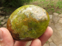 Polished Large Green Opal Palm Stones  x 12 From Madagascar - TopRock