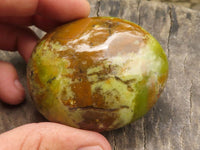 Polished Large Green Opal Palm Stones  x 12 From Madagascar - TopRock