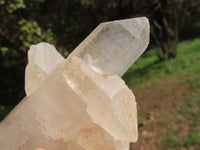 Natural Quartz Clusters With Nice Intact Crystals  x 6 From Madagascar - TopRock