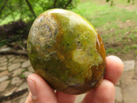 Polished Large Green Opal Palm Stones  x 12 From Madagascar - TopRock