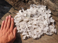 Natural Single Clear Quartz Crystals  x 1.5 Kg Lot From Zambia - Toprock Gemstones and Minerals 