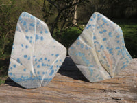 Polished Blue Spotted Spinel "Dalmatian Stone" Leaf Sculptures x 2 From Madagascar - TopRock