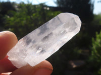 Natural Single Clear Quartz Crystals  x 1.5 Kg Lot From Zambia - Toprock Gemstones and Minerals 