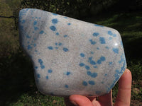 Polished Blue Spotted Spinel "Dalmatian Stone" Leaf Sculptures x 2 From Madagascar - TopRock