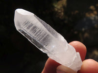 Natural Single Clear Quartz Crystals  x 1.5 Kg Lot From Zambia - Toprock Gemstones and Minerals 