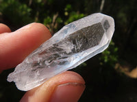 Natural Single Clear Quartz Crystals  x 1.5 Kg Lot From Zambia - Toprock Gemstones and Minerals 