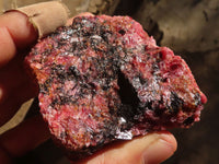 Natural Rough Red Rhodonite Specimens x 6 From Zimbabwe