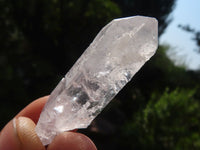 Natural Single Clear Quartz Crystals  x 1.5 Kg Lot From Zambia - Toprock Gemstones and Minerals 