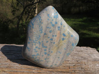 Polished Blue Spotted Spinel "Dalmatian Stone" Leaf Sculptures x 2 From Madagascar - TopRock