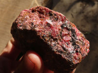 Natural Rough Red Rhodonite Specimens x 6 From Zimbabwe